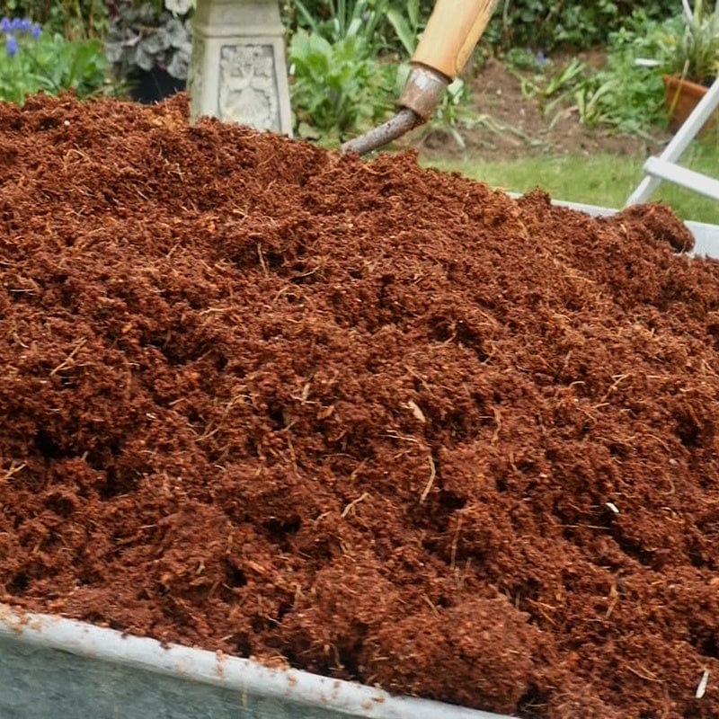 Coco Grow Peat Free Pure Coir Compost