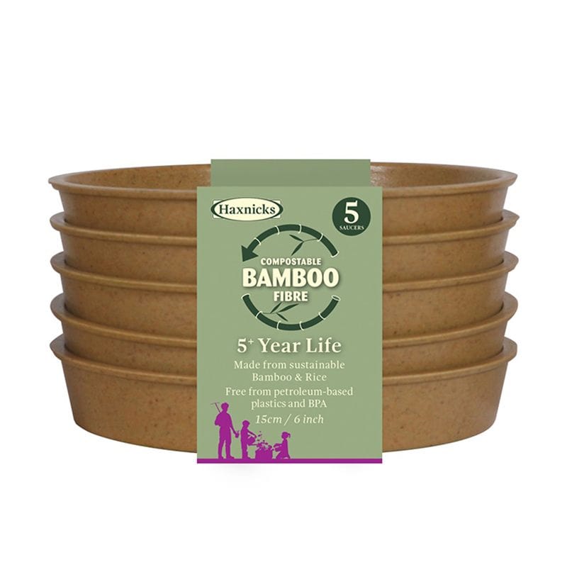 Bamboo Pots & Saucers