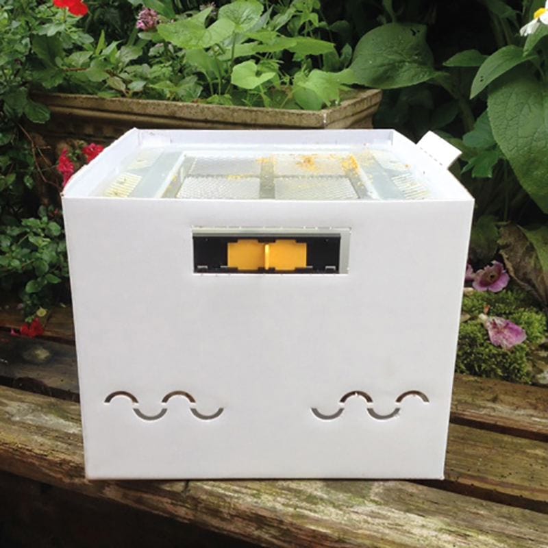 Beepol Replacement Hive