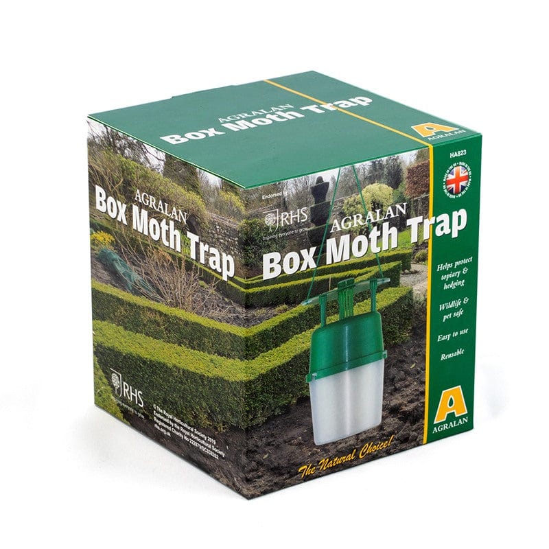 Box Moth Trap & Refill Pack