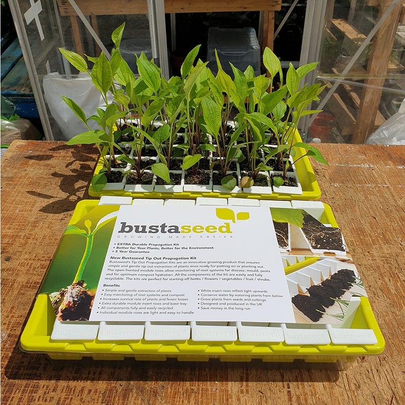 Bustaseed Extra Durable Tip Out Propagation Kit - Duo Pack