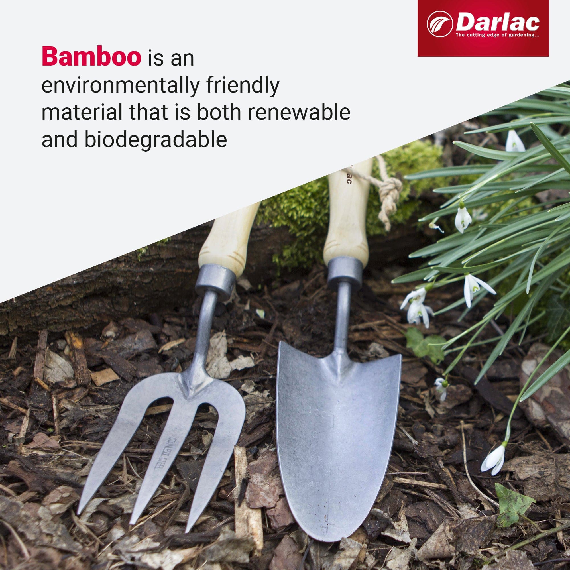 Darlac Bamboo Hand Fork