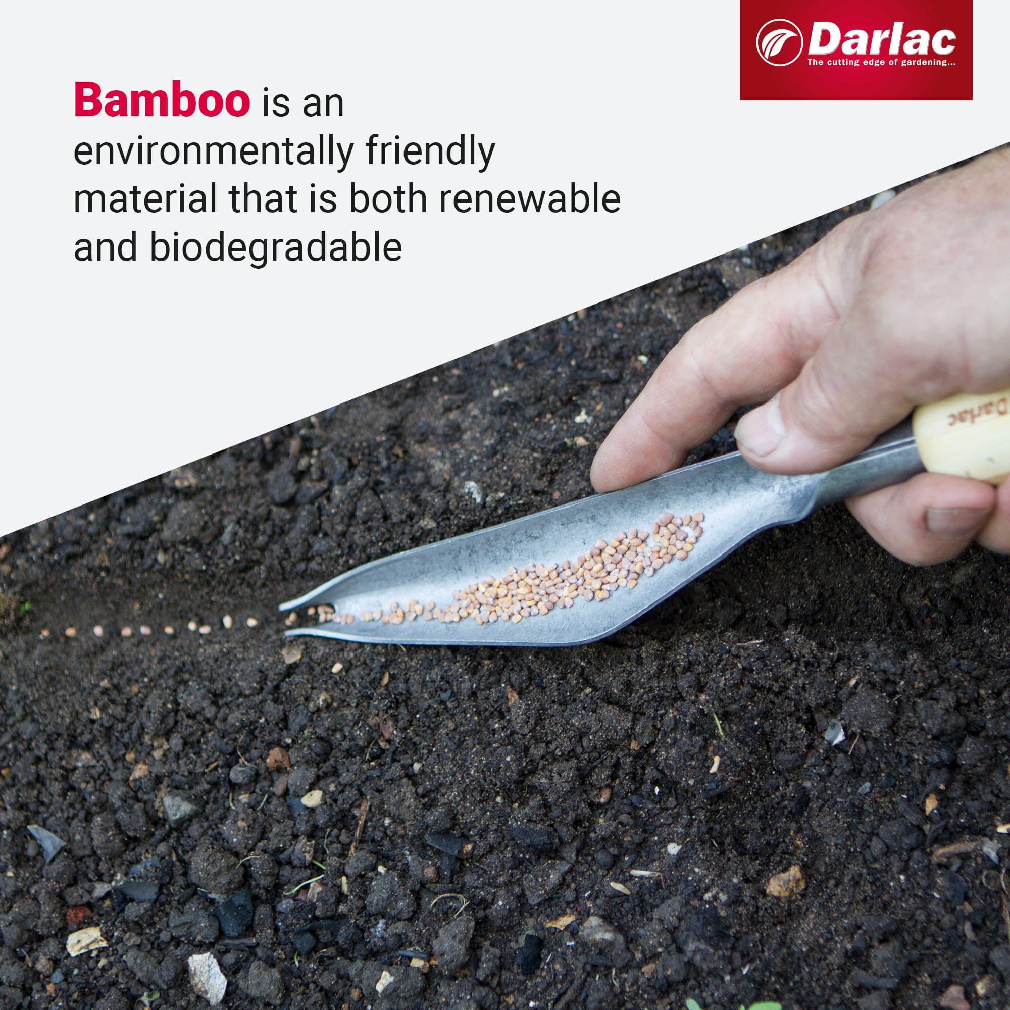 Darlac Bamboo Weeding & Seeding Trowel