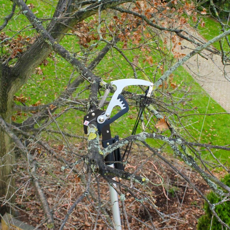 Darlac Expert Geared Bypass Tree Pruner