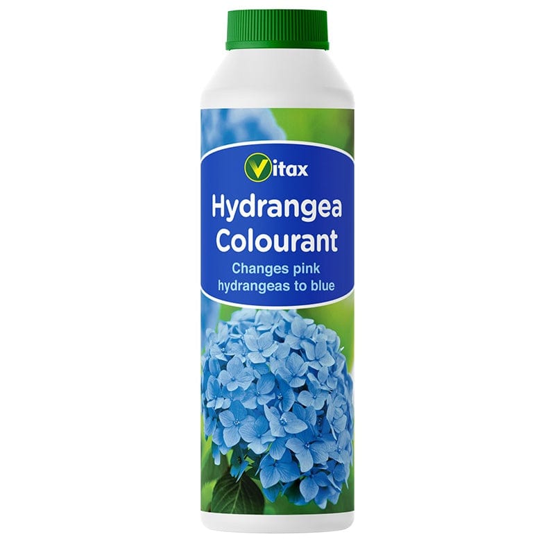 Hydrangea Flower Colourant