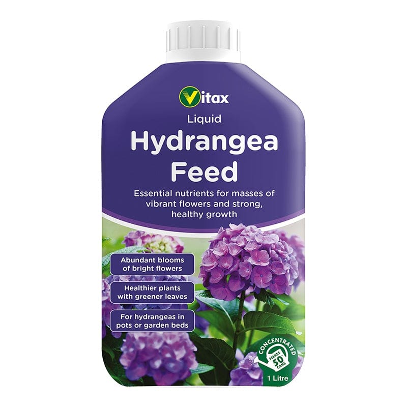 Hydrangea Liquid Feed