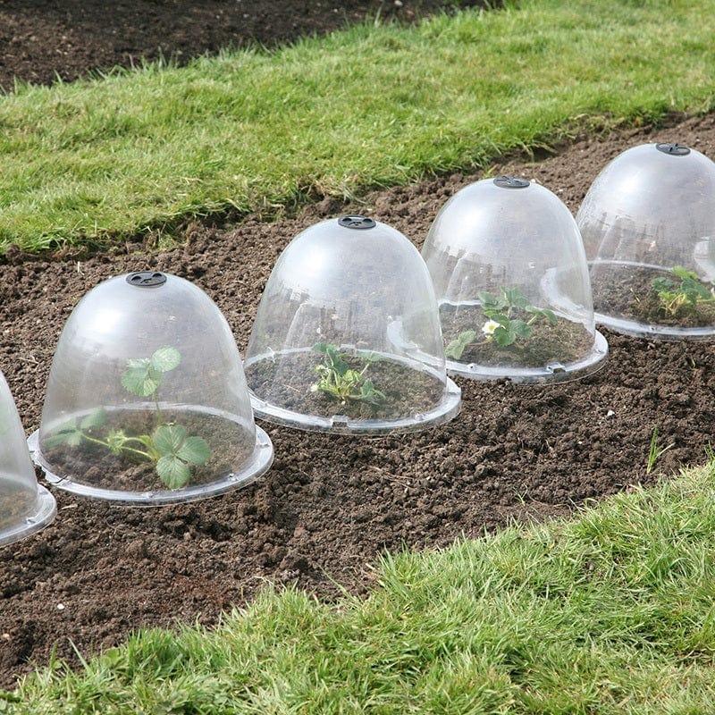 Victorian Bell Cloches