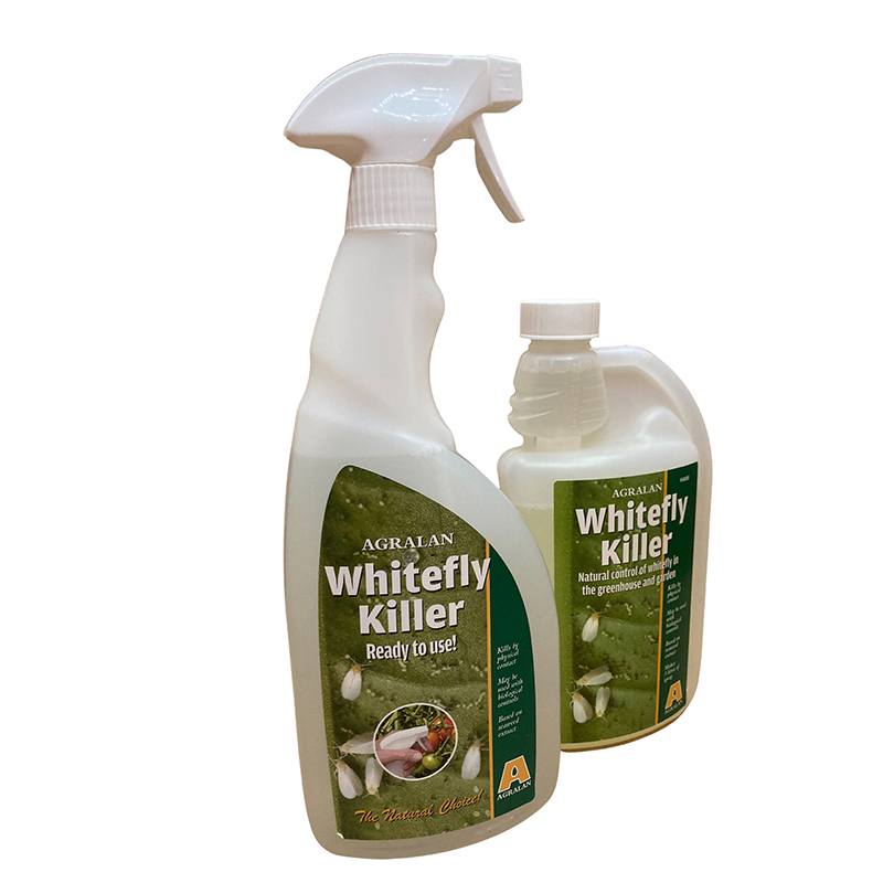 Whitefly Killer Spray & Concentrate Kit